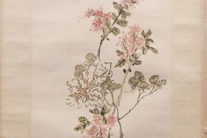 芙蓉紫薇