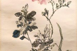 栀子萱花