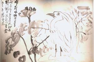 莲塘鹭鸶