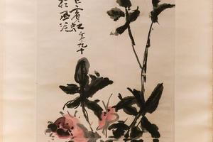月季