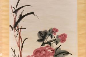 芙蓉芦草