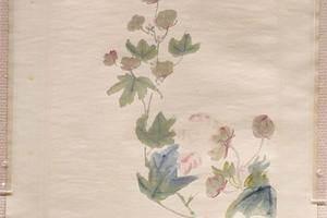 芙蓉图