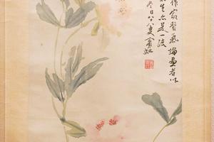 芍药