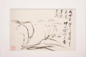 萱花
