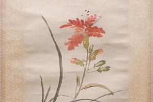 萱花