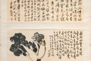 白菜图