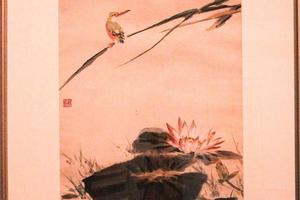 莲塘翠鸟