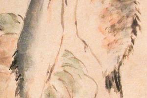 鱼虫果蔬册