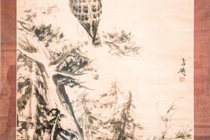 柏树栖鹰