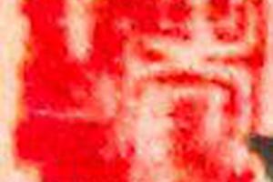 拟明人法百鸟图卷