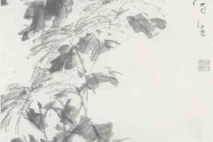 还来就菊花