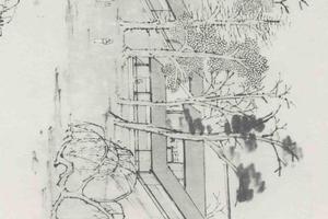 瑞莲放参图