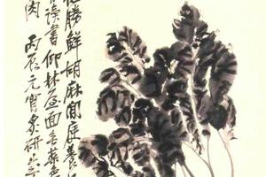 白菜图