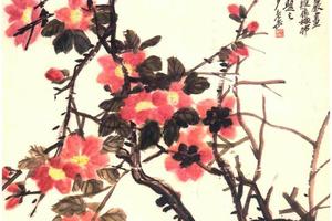 山茶花图