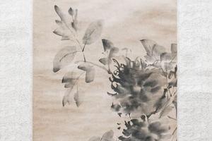 牡丹图（轴）
