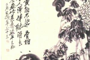 菊石图