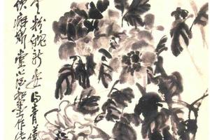 墨牡丹