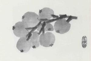 绢本花卉蔬果册之一绢本花卉蔬果册之二