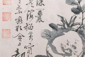 花卉图