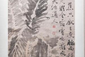 芭蕉图（轴）