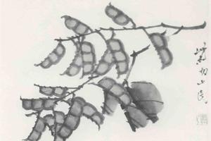无极长生花卉蔬果册之九扁豆花卉蔬果册之十