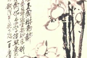 玉兰图