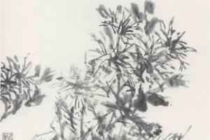 绢本花卉蔬果册之三绢本花卉蔬果册之四