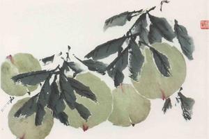瓜果册之七瓜果册第八
