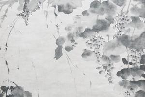 墨葡萄图
