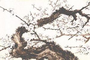 白梅图卷