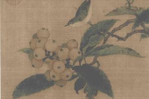 枇杷山鳥圖