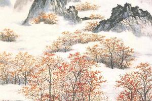 秋山丹枫