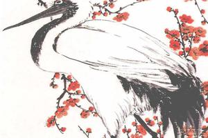 鹤寿