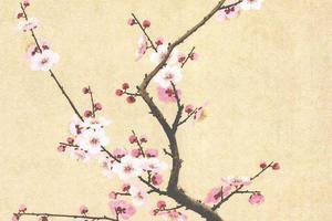 梅花(四屏)
