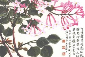 丁香素艳