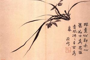 兰花图