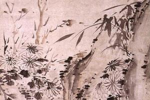 甘菊图