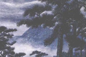 月照松溪