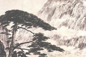 迎客松