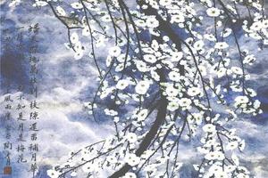 月色千叶梅花