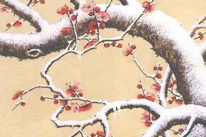 瑞雪红梅