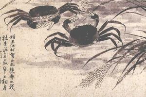 江村蟹肥