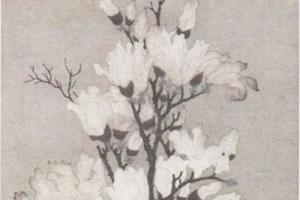 玉兰图轴