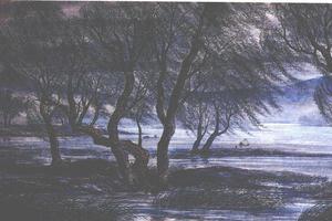 平湖夜月