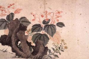 花鸟册