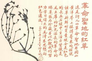 革命红草