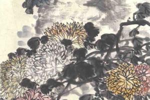 菊石图轴