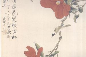 山茶白头