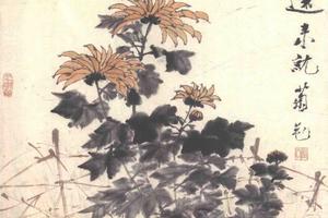 杂画图册