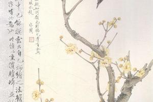 腊梅山禽